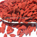 Bulk Goji Berry, Ningxia Goji Berry, Organic Berry Goji